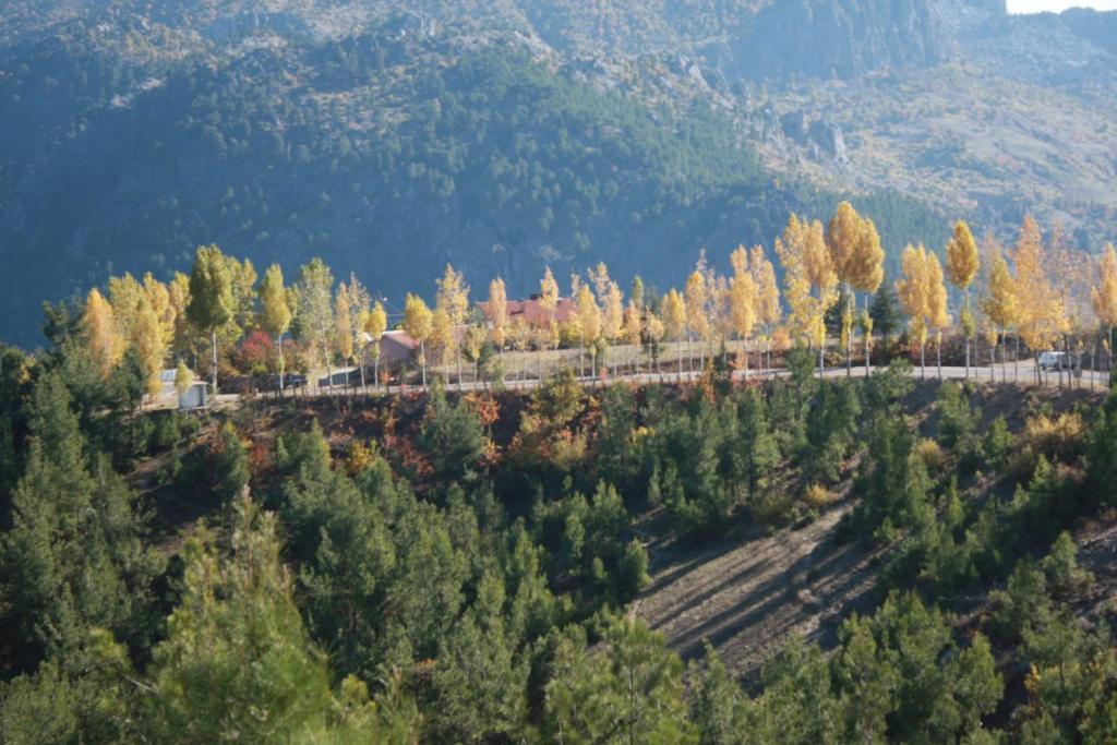 St.Paul Yol Pansiyon Kasimlar Exterior photo
